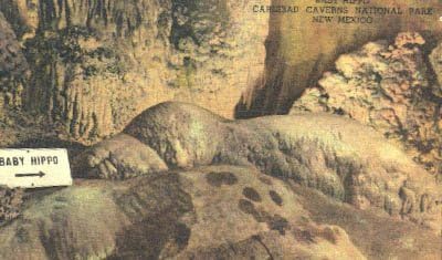 Carlsbad Caverns Nemzeti Park, Új-Mexikó, Képeslap