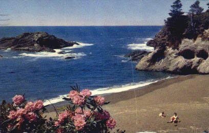 Csendes-Óceán Tengerparton Található, Washington Képeslap